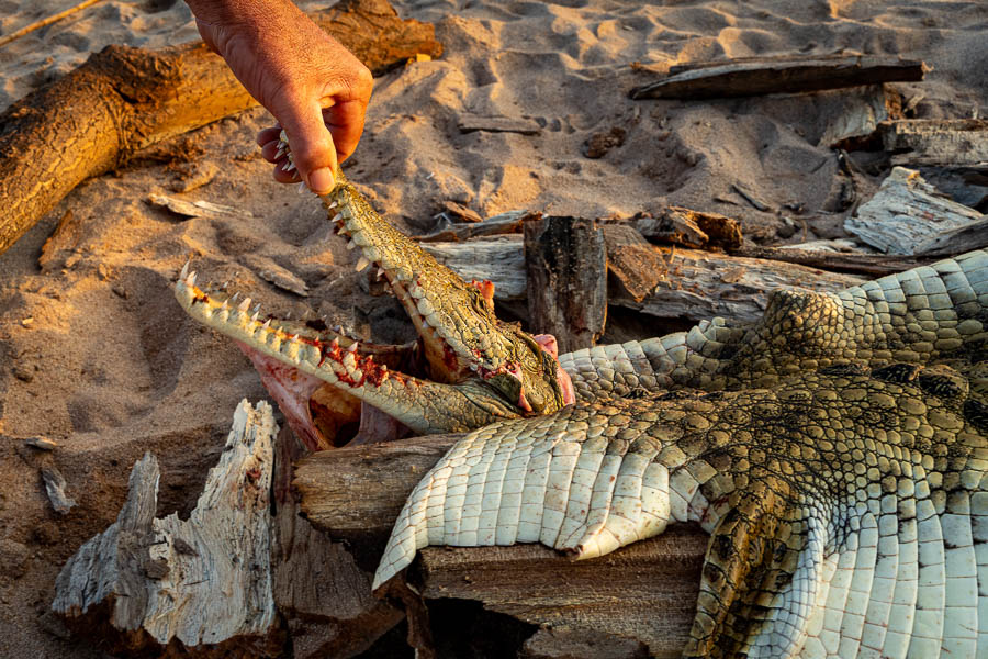 Fleuve Manambolo, camp sur la plage, crocodile