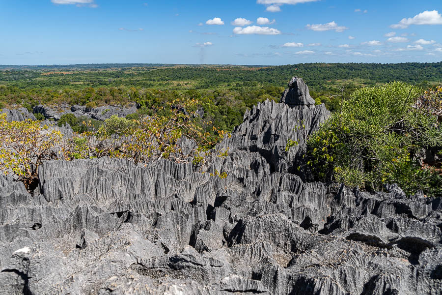 Tsingy de Bemaraha