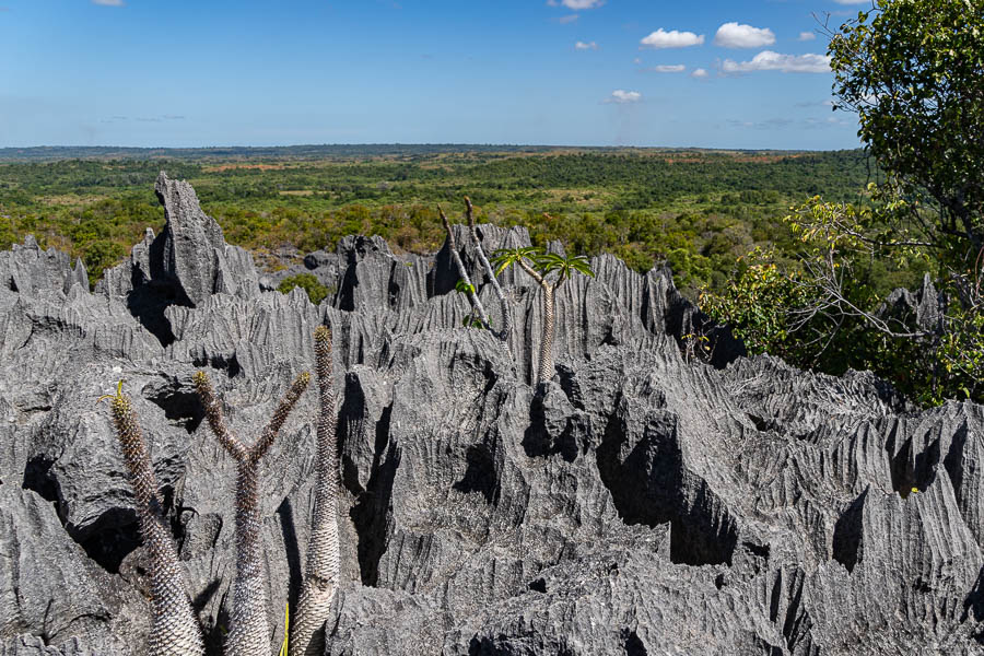 Tsingy de Bemaraha