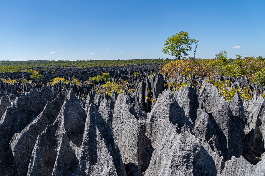 Tsingy de Bemaraha : premier belvédère