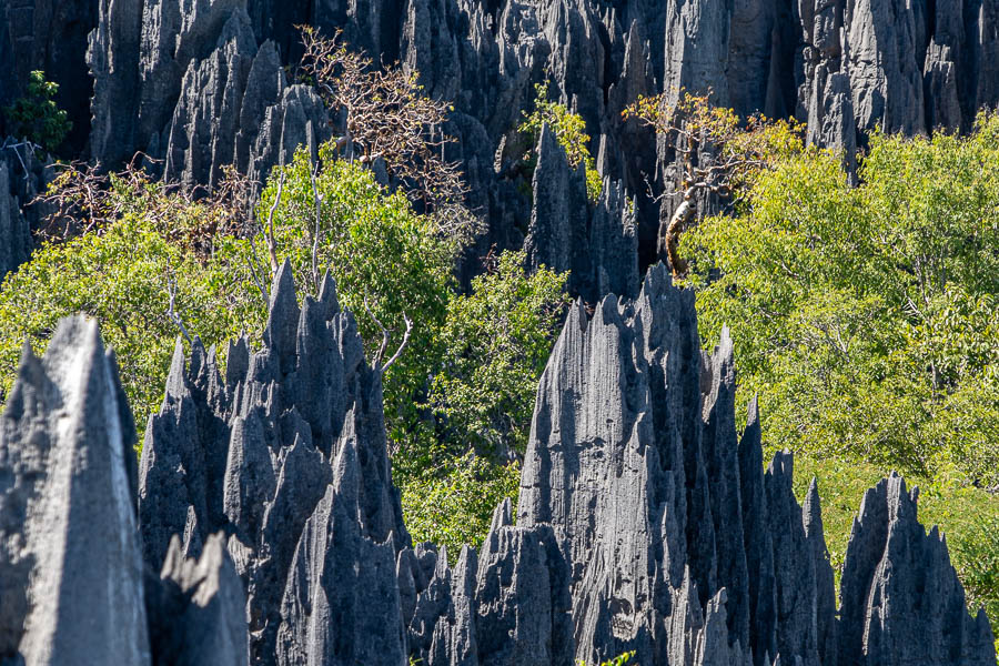 Tsingy de Bemaraha : second belvédère