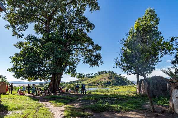 Village d'Ambohimitombo : arbre à palabres