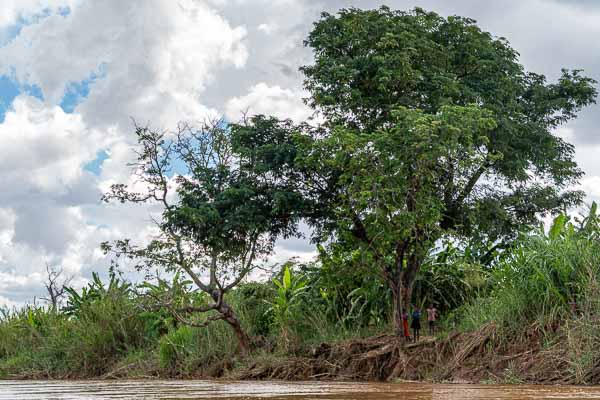Fleuve Manambolo, arbre et enfants