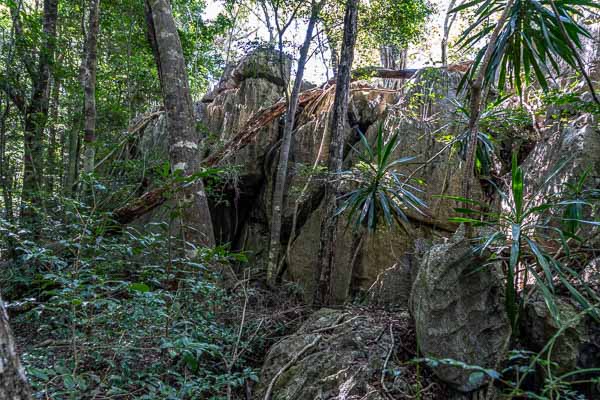 Tsingy de Bemaraha