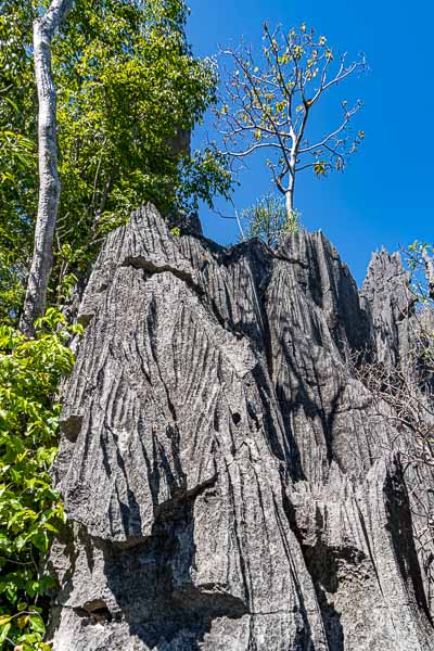 Tsingy de Bemaraha