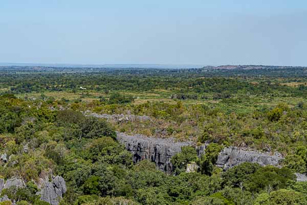 Tsingy de Bemaraha : premier belvédère