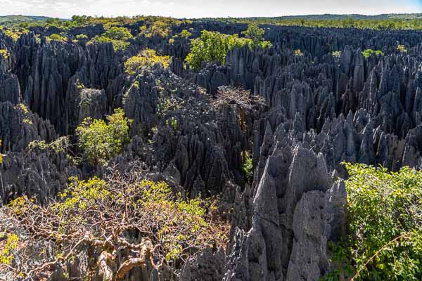 Tsingy de Bemaraha : second belvédère