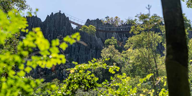 Tsingy de Bemaraha : pont de singe