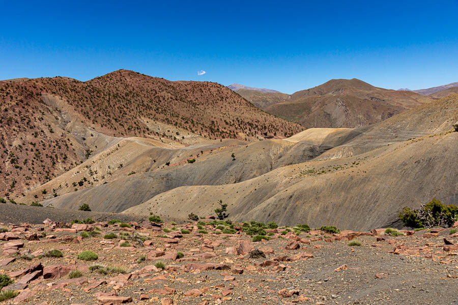 Col pelé, 2300 m