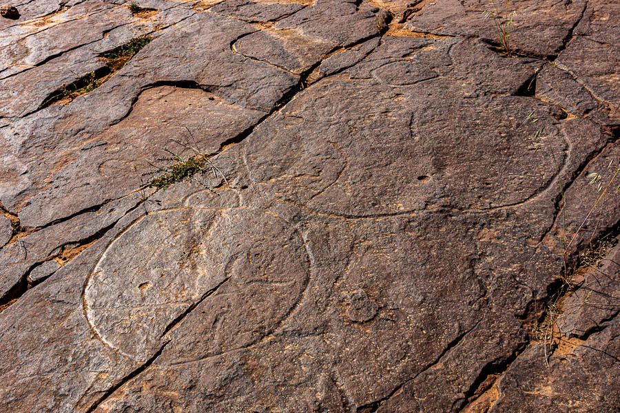 Plateau du Yagour : gravures rupestres