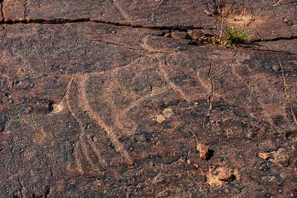 Plateau du Yagour : gravures rupestres