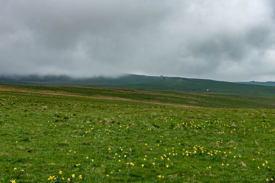 Paysage de l'Aubrac