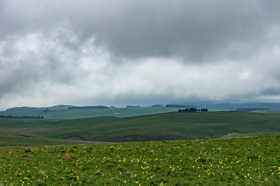 Paysage de l'Aubrac