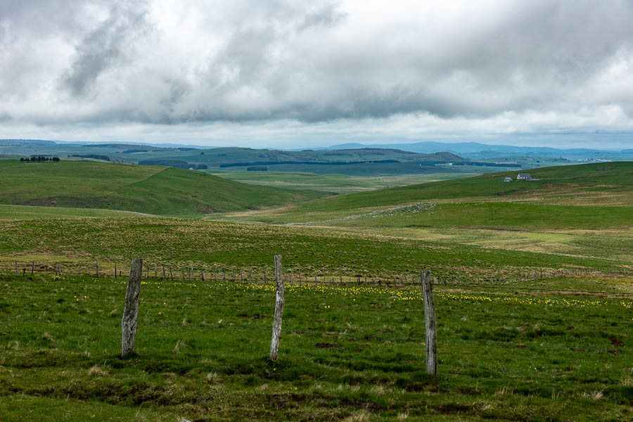 Paysage de l'Aubrac