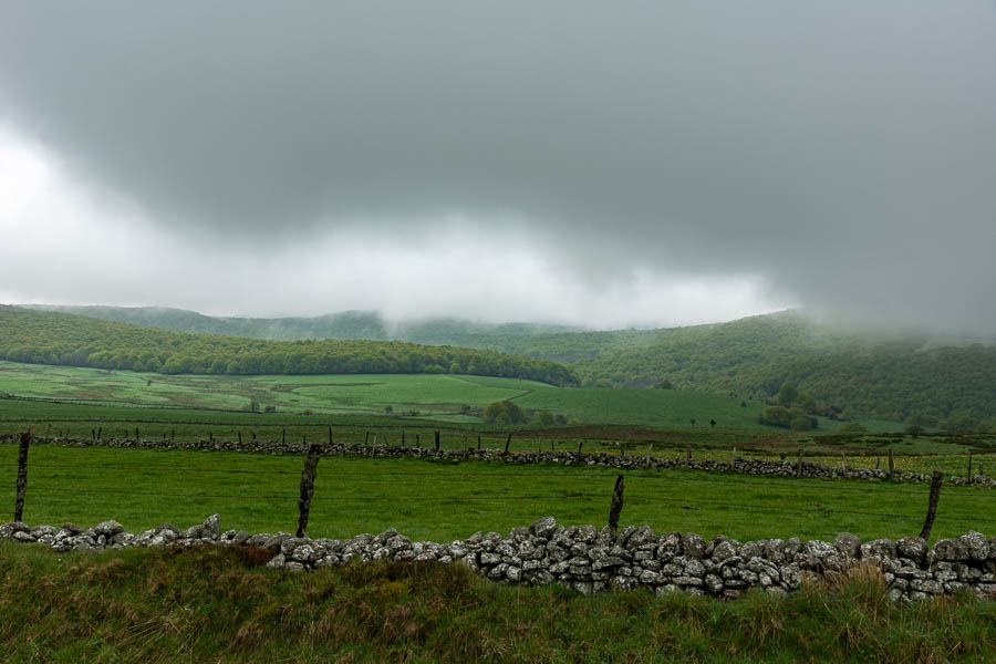 Paysage de l'Aubrac