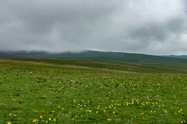 Paysage de l'Aubrac