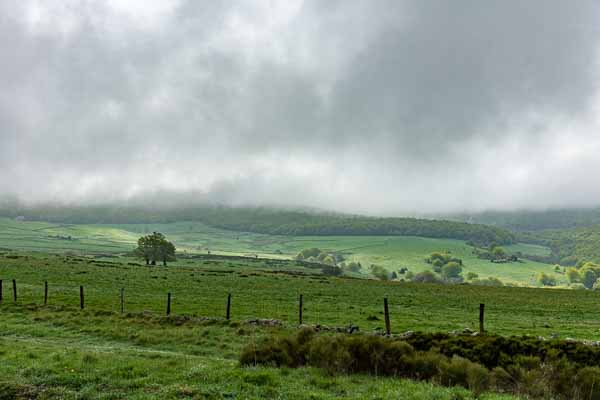 Paysage de l'Aubrac