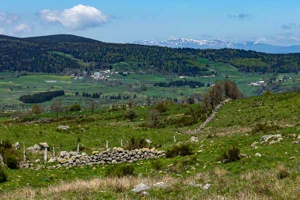 Aubrac et Cantal