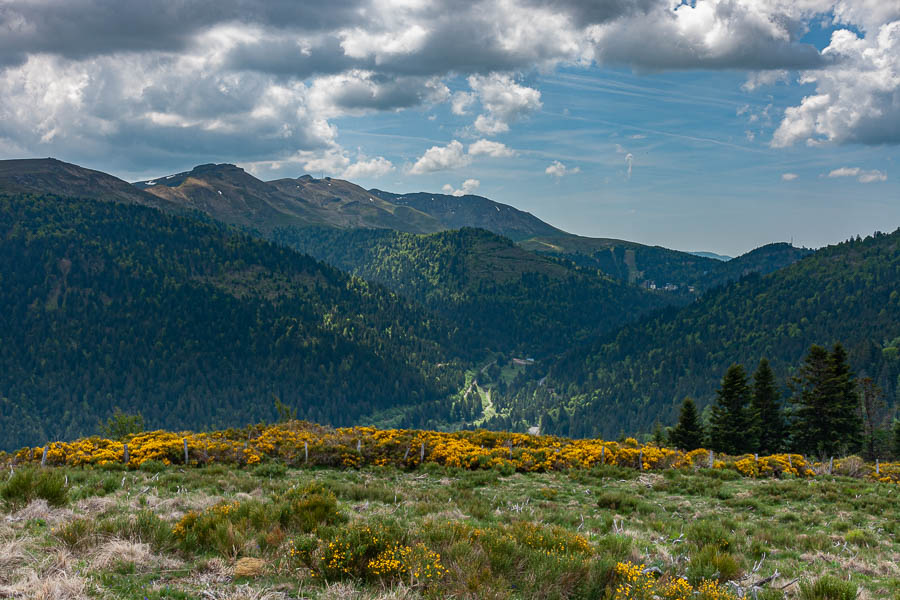 Plomb du Cantal et Super-Lioran