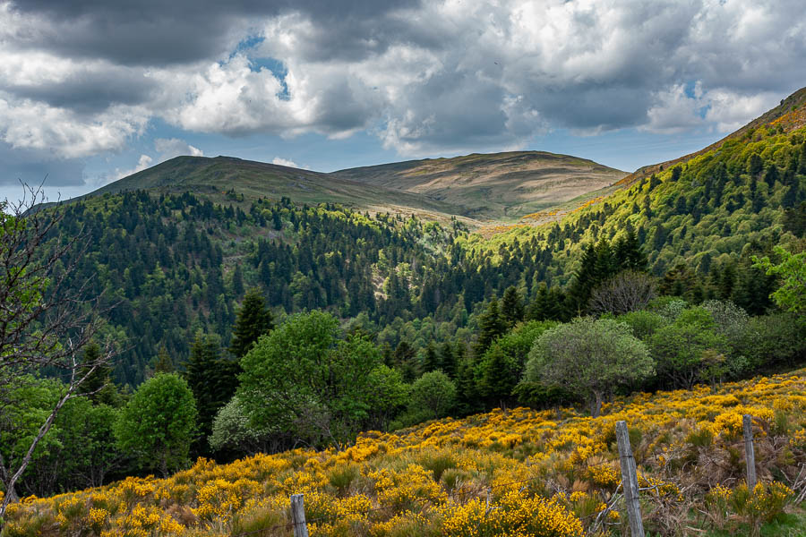 Vallon de Vassivière