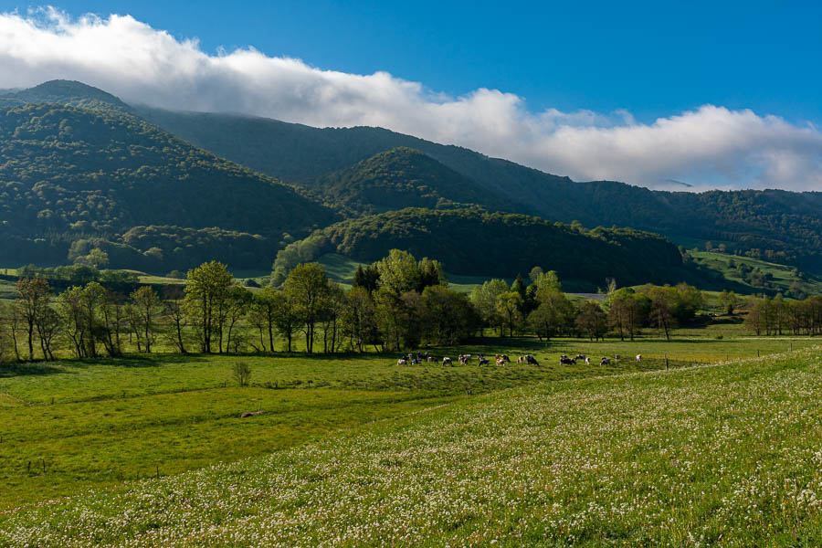 Vallée du Claux