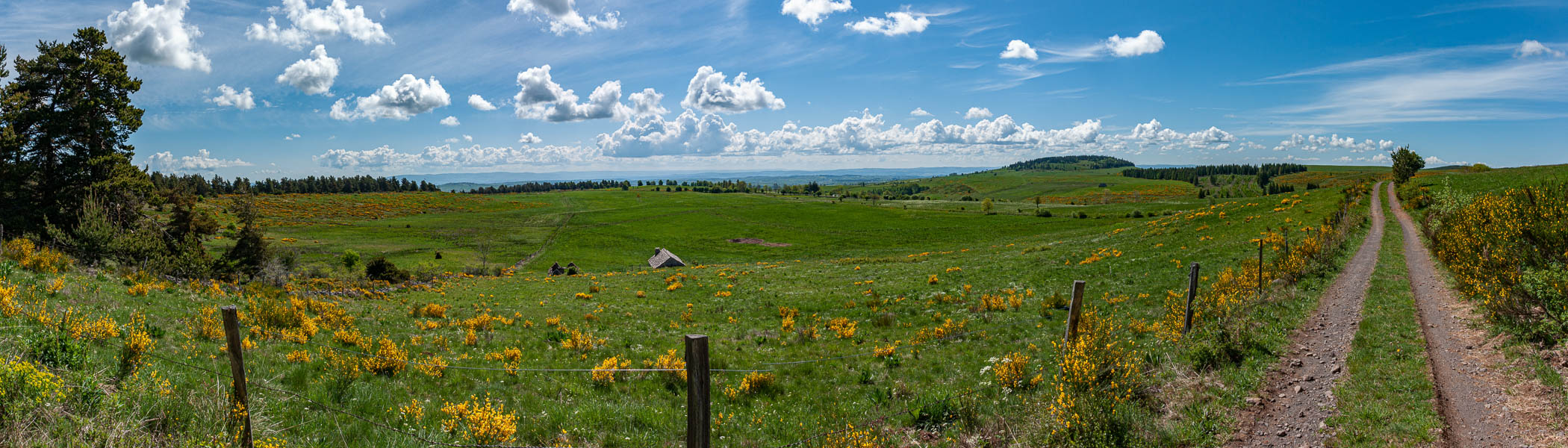 Près des Fraux, puy de Mercou