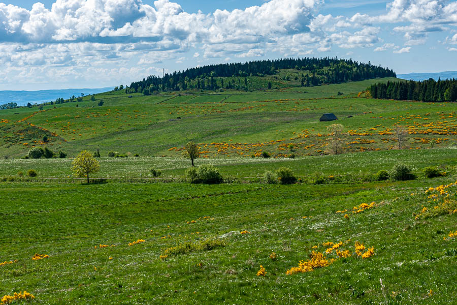 Puy de Mercou