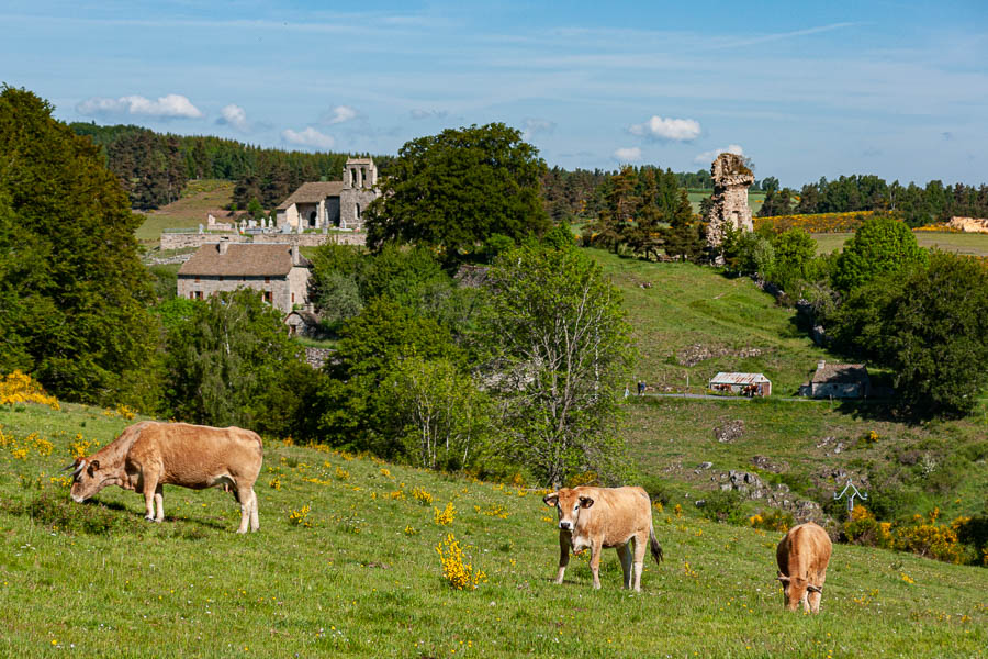 Arzenc-d'Apcher