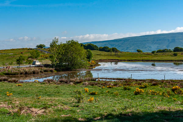 Étang de Lascourt