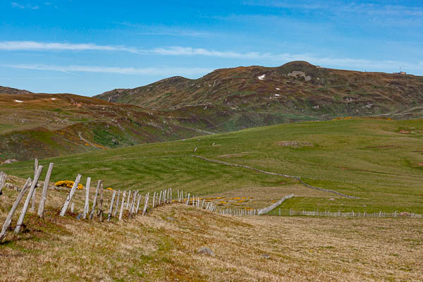 Plomb du Cantal