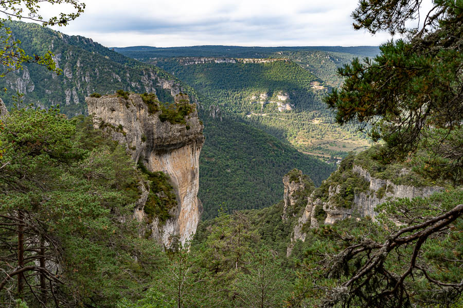 Gorges de la Jonte