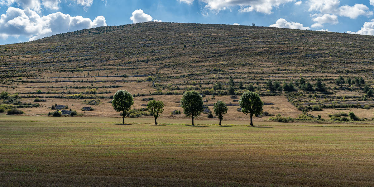 Causse Méjan