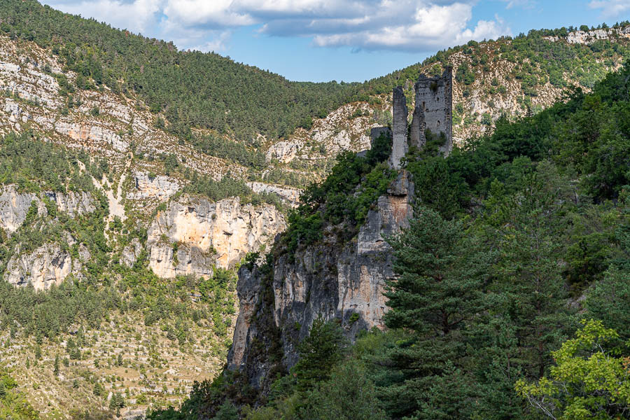 Hauterives : château