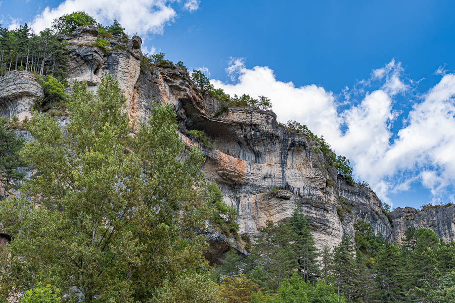 Gorges du Tarn