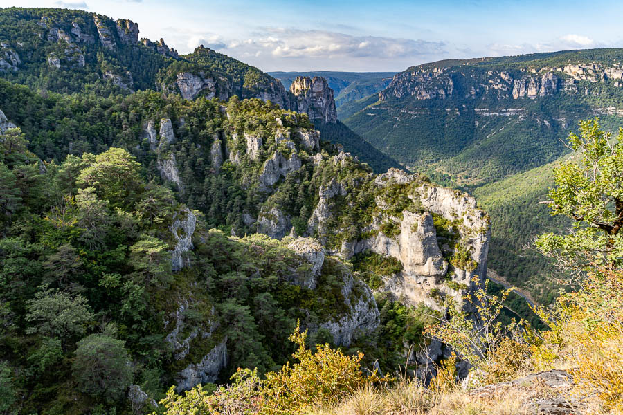 Gorges du Tarn : combe Rousse, Cinglegros