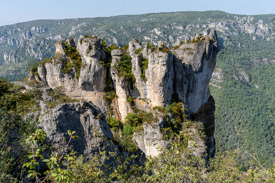 Gorges du Tarn : Cinglegros