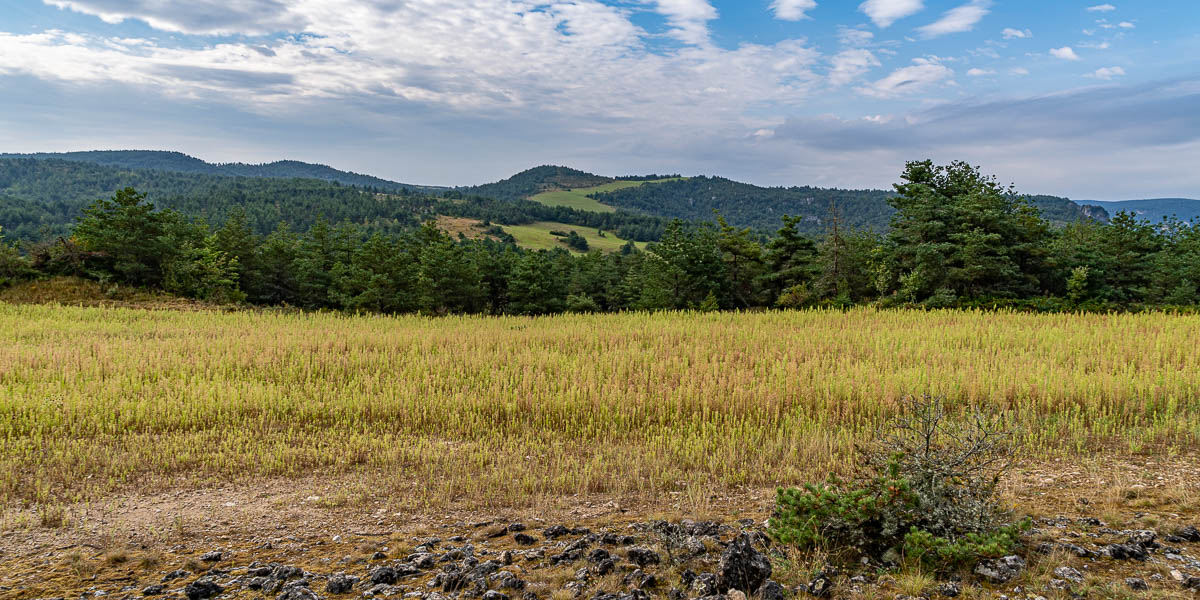 Causse Méjan