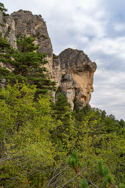 Gorges du Tarn : rochers