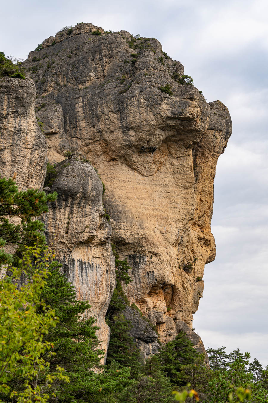 Gorges du Tarn : rochers