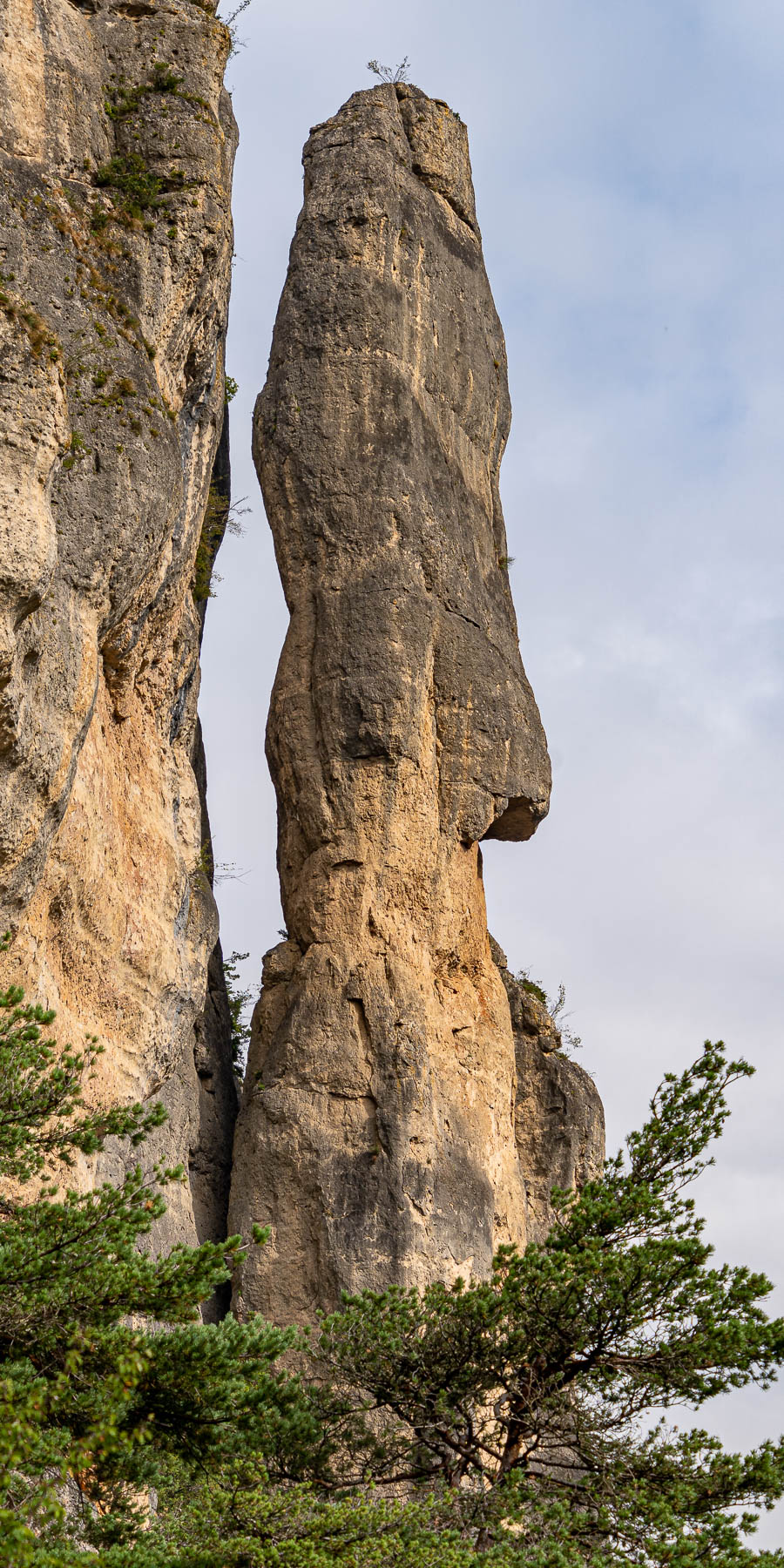 Gorges du Tarn : moaï
