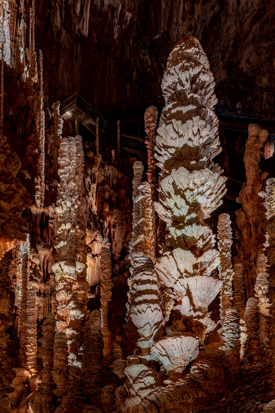 Causse Méjan, aven Armand : stalagmites