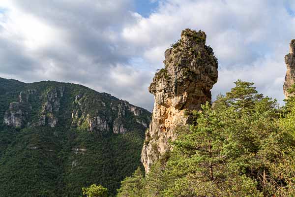 Gorges de la Jonte