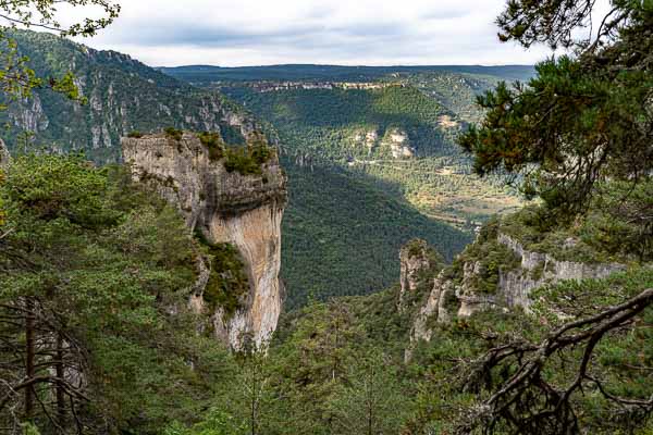 Gorges de la Jonte