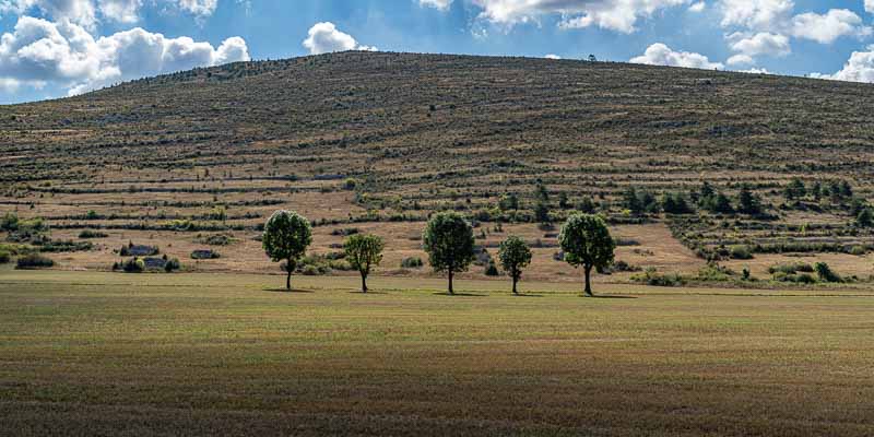 Causse Méjan