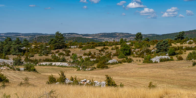Causse Méjan