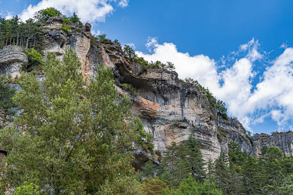 Gorges du Tarn