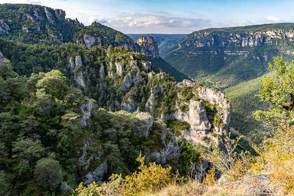 Gorges du Tarn : combe Rousse, Cinglegros