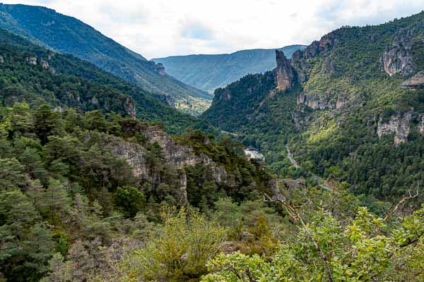 Gorges du Tarn : le Roc Aiguille
