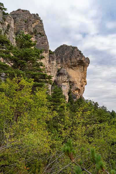 Gorges du Tarn : rochers