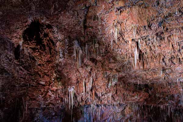 Causse Méjan, aven Armand : stalagtites